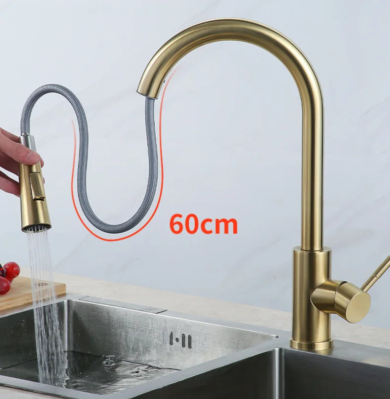 Stainless Steel Hot Cold Water Faucet Gold Pull-out Sprayer Single Handle