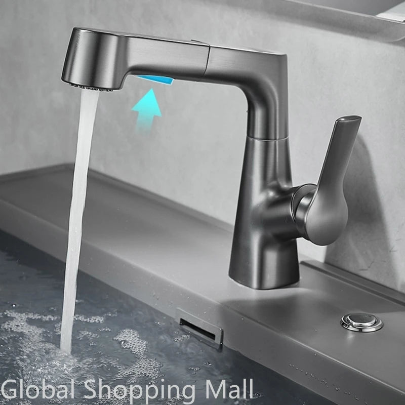 Pull Out Lift Kitchen Faucet 360° Rotatable Splashproof Stainless Steel Kitchen Sink Faucet with Pull Down Sprayer