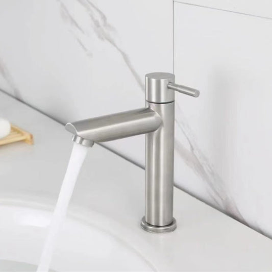 Basin Faucet 304 Stainless Steel Single Cold Water Tap Black Silver Color Deck Mounted